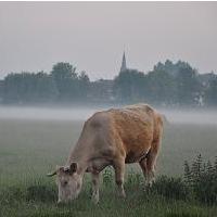 Avatar de l’utilisateur